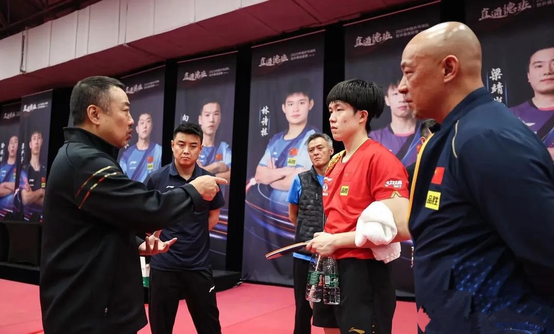关于拳击赛场再起风云：闽南青龙队险胜东海火狐队，赛场气氛火爆赛季拐点或已出现的信息
